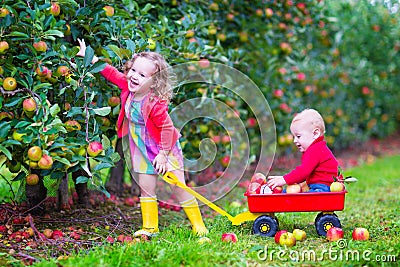 Kids playing in an apple garden Stock Photo