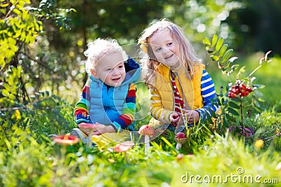 Kids playing in autumn forest Stock Photo