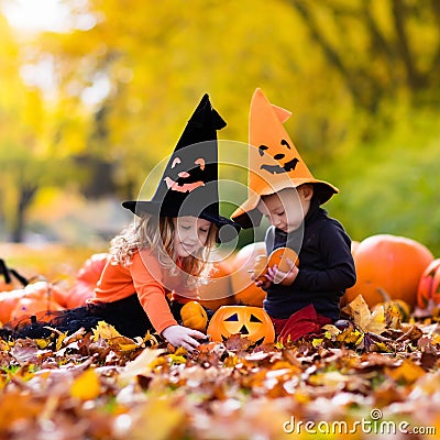 Kids with pumpkins on Halloween Stock Photo