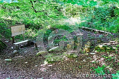 Kids school ground in forest for education Stock Photo