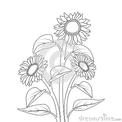 kids sunflower coloring page pencil drawing of vector design with pencil sketch Vector Illustration