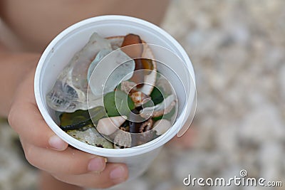 Kids treasure from sea - sea shells, stones and flooded glass Stock Photo