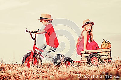 Kids with vintage colorful tricycle. Cute toddler girl and boy working on farm outdoors. Childhood memories. Sister and Stock Photo