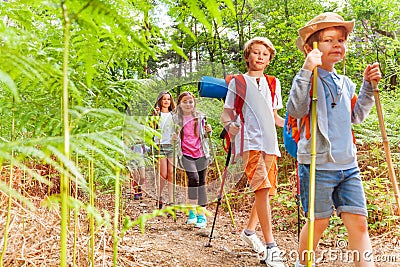 Kids walk with hiking poles among fern Stock Photo