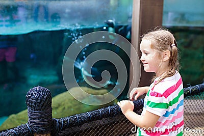 Kids watch penguin at zoo. Child at safari park Stock Photo