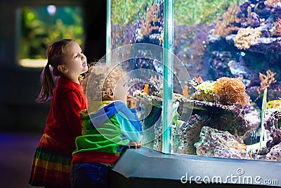 Kids watching fish in tropical aquarium Stock Photo