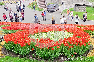 Kiev, Ukraine - April 23, 2016: Flower bed of red and white tulips on tulips exhibition Editorial Stock Photo