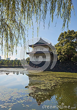 The Kikyo-bori moat overgrown with water plants around the Tokyo Imperial Palace. Tokyo. Japan Stock Photo