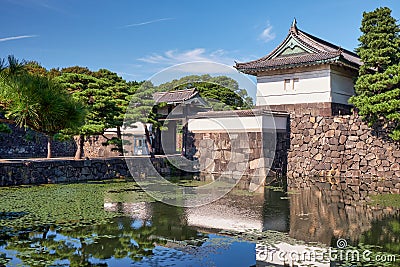 The Kikyo-bori moat overgrown with water plants around the Tokyo Imperial Palace. Tokyo. Japan Stock Photo