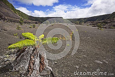 Kilauea Iki crater in Big Island Hawaii, USA Stock Photo