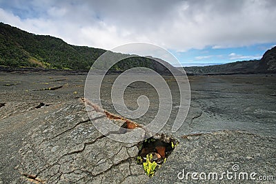 Kilauea Iki Crater trail in Hawaii Stock Photo