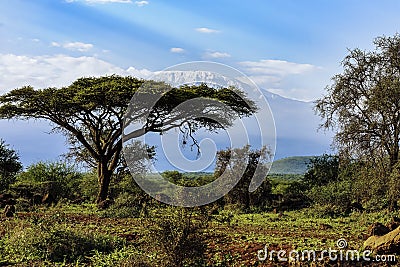 Kilimandscharo Kenia Afrika Stock Photo