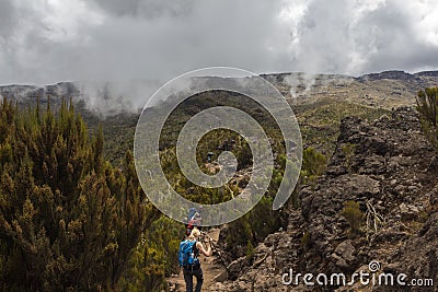 Kilimanjaro Machame Route Editorial Stock Photo