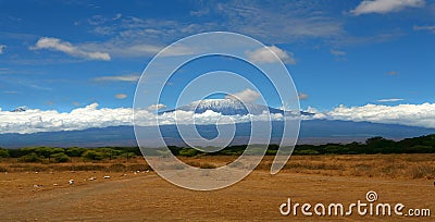 Kilimanjaro Mountain Landscape Tanzania Africa Kenya Stock Photo