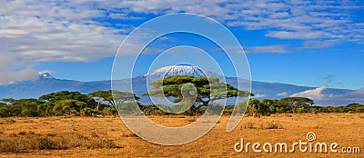 Kilimanjaro Mountain Tanzania Kenya Travel Africa Stock Photo
