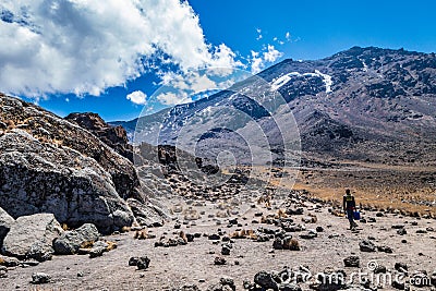 Kilimanjaro view from Machame route trail Editorial Stock Photo