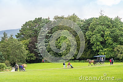 Killarney National Park in Ireland Editorial Stock Photo