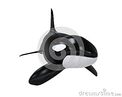 Killer Whale Stock Photo