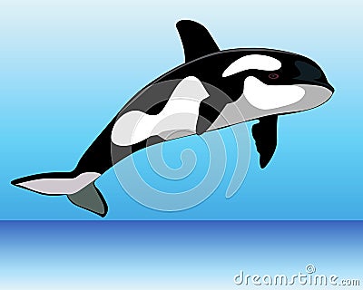 Killer Whale over the water Vector Illustration