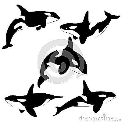 Killer whale set of silhouettes isolated Vector Illustration