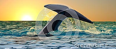 Killer Whale Tail at Sunset Stock Photo