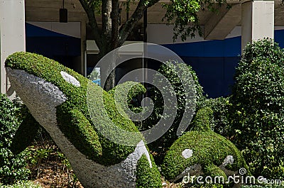 Killer Whale Topiary garden - Seaworld, Orlando Editorial Stock Photo