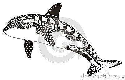 Killer whale zentangle stylized, vector, illustration, freehand Vector Illustration