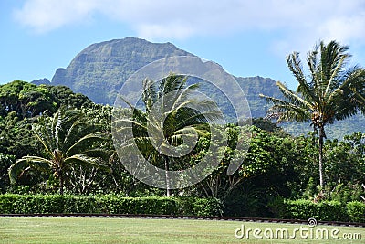 Kilohana Plantation at Lihue on Kauai Island in Hawaii Stock Photo