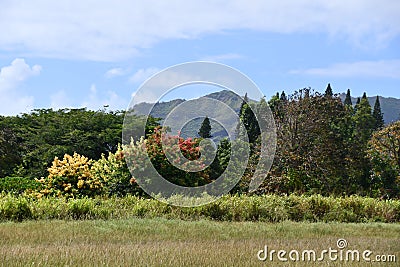 Kilohana Plantation at Lihue on Kauai Island in Hawaii Stock Photo