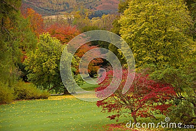 Kilruddery House & gardens. Autumn. Ireland Stock Photo