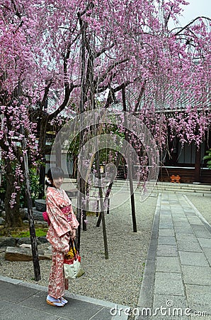 Kimono Girl and Sakura tree Editorial Stock Photo