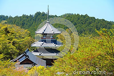 Japan - Yoshino Stock Photo