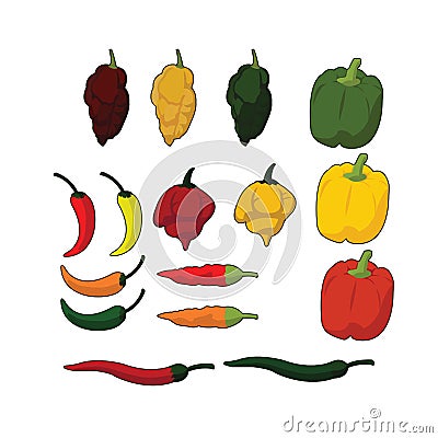 Kind of chilli Vector Illustration