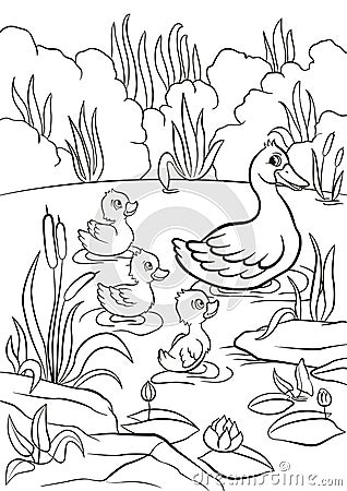 Kind duck and free little cute ducklings swim on the lake. Vector Illustration