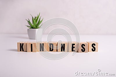 KINDNESS word made with building blocks on white Stock Photo