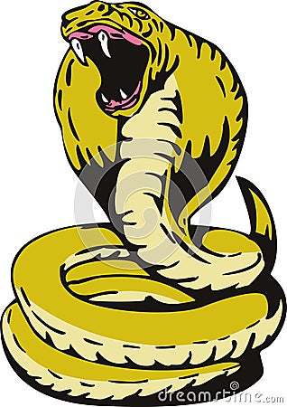 King Cobra Stock Photo