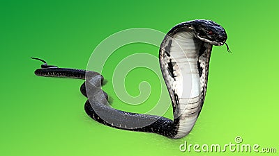 King Cobra Black Snake and Red Eye. Cartoon Illustration