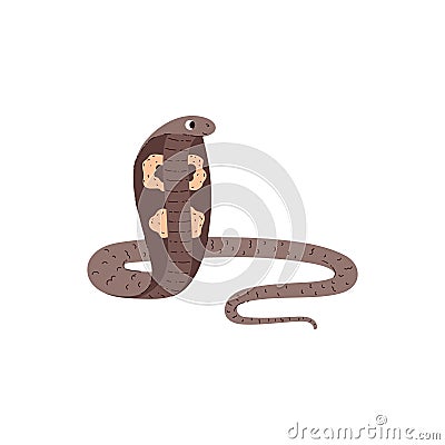 King cobra, desert snake, vector illustration on white, cartoon flat style Vector Illustration