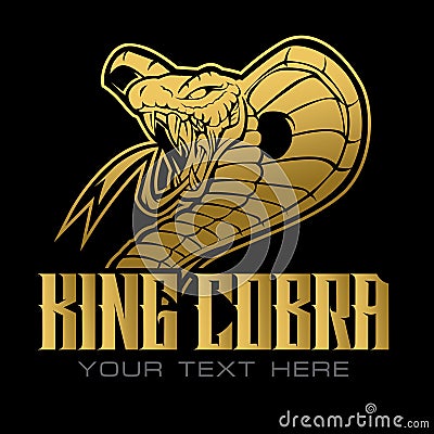 King cobra Gold head vector, head snake,mascot logo design on black background Vector Illustration
