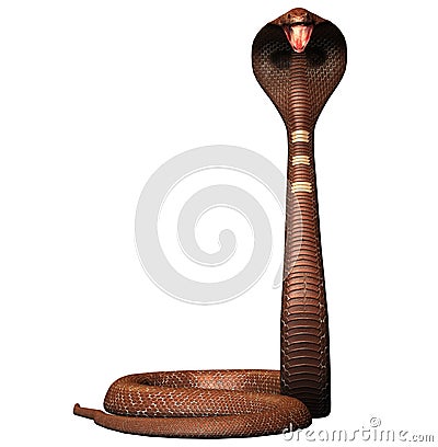 King cobra snake Stock Photo