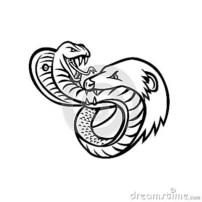 King Cobra Snake and Mongoose Fighting Biting and Attacking Mascot Retro Black and White Vector Illustration