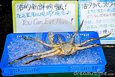 King crab for sell on the ice Stock Photo