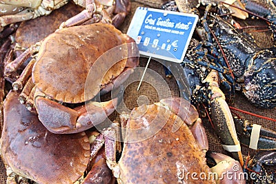 King Crabs from Normandy Stock Photo