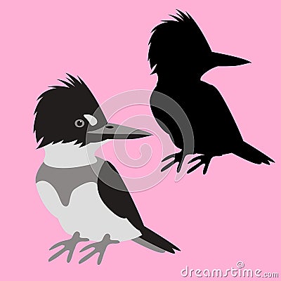 King fisher vector illustration flat style black silhouette Vector Illustration