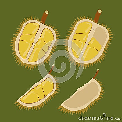 King of fruit also known as durian that has been cut and split open, ready to eat. Cartoon vector illustration. Cartoon Illustration