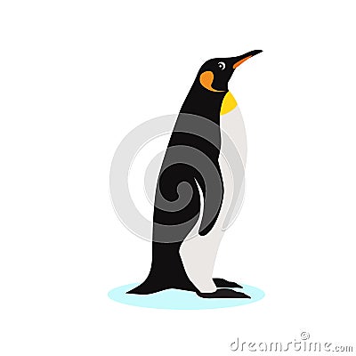 King penguin icon, isolated on white background Vector Illustration