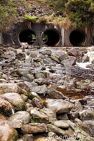 King River Tasmania Stock Photo