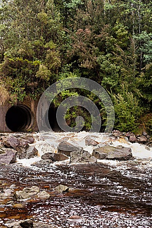 King River Tasmania Stock Photo