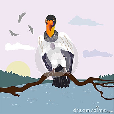 King vulture sitting on a river landscape. Animals of South America. Vector Illustration