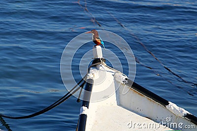 Kingfisher sitting on a boat Stock Photo